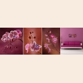 Набор для вышивания бисером Miniart Crafts "Триптих Розовые Орхидеи"